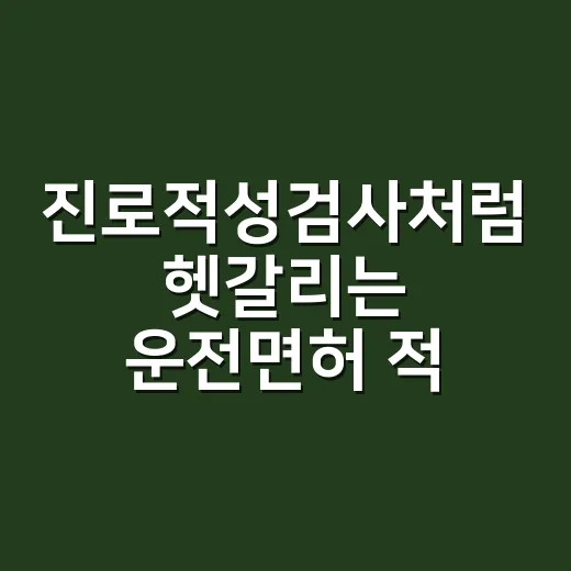 진로적성검사처럼 헷갈리는 운전면허 적성검사, 초보자가 놓치지 않는 방법 - 요약