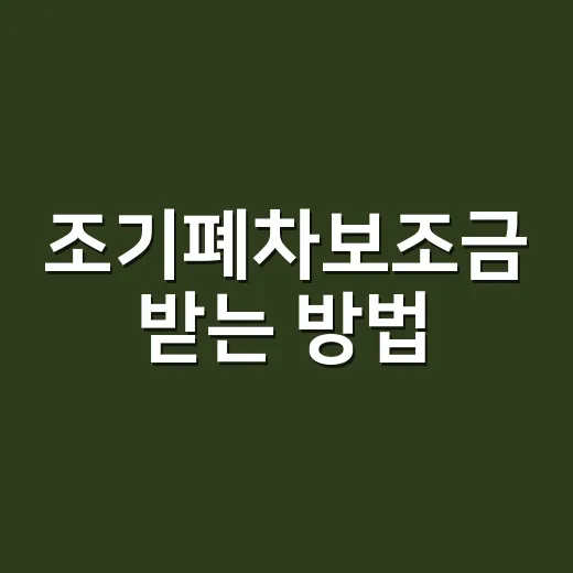 조기폐차보조금 받는 방법, 2026년 5등급은 특히 서둘러야 합니다 - 요약