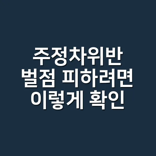 주정차위반 벌점 피하려면 이렇게 확인하세요 - 요약