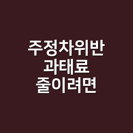 주정차위반 과태료 줄이려면 이렇게 확인하고 납부하세요 - 요약