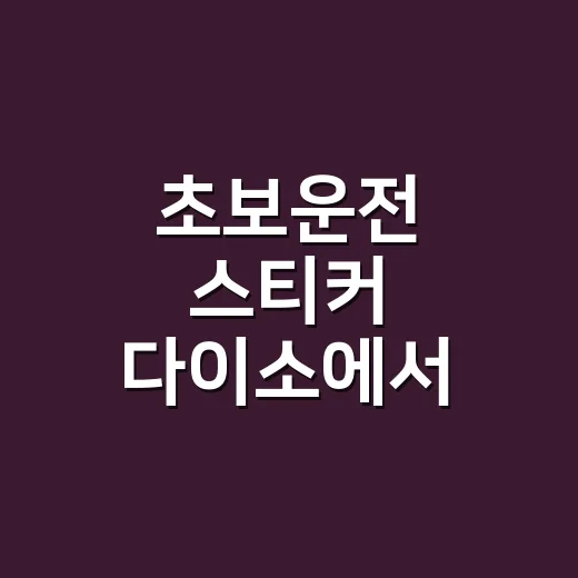 초보운전 스티커 다이소에서 고르는 방법, 붙이는 위치까지 - 요약