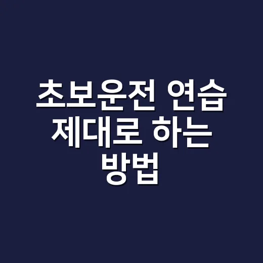 초보운전 연습 제대로 하는 방법, 도로 나가기 전 순서부터 잡으세요 - 요약