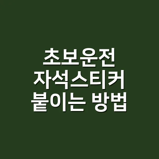 초보운전 자석스티커 붙이는 방법, 과태료 걱정 없는 위치까지 - 요약