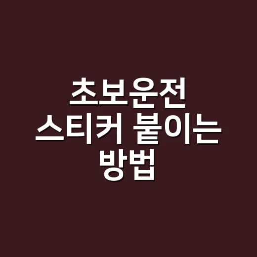 초보운전 스티커 붙이는 방법, 벌점 없이 제대로 표시하려면 이렇게 - 요약