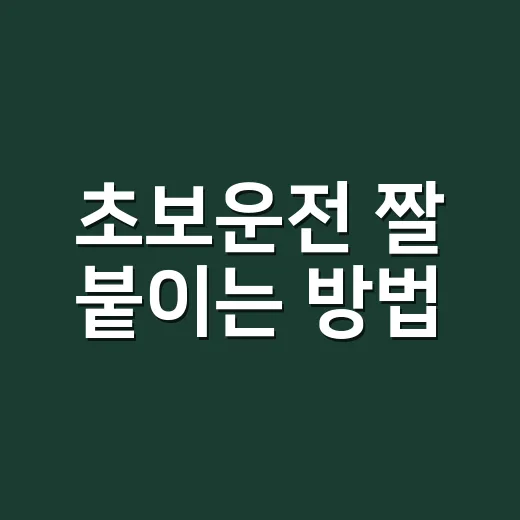 초보운전 짤 붙이는 방법, 웃기게 붙여도 되는 선은 따로 있습니다 - 요약