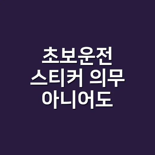 초보운전 스티커 의무 아니어도 제대로 붙이는 방법 - 요약