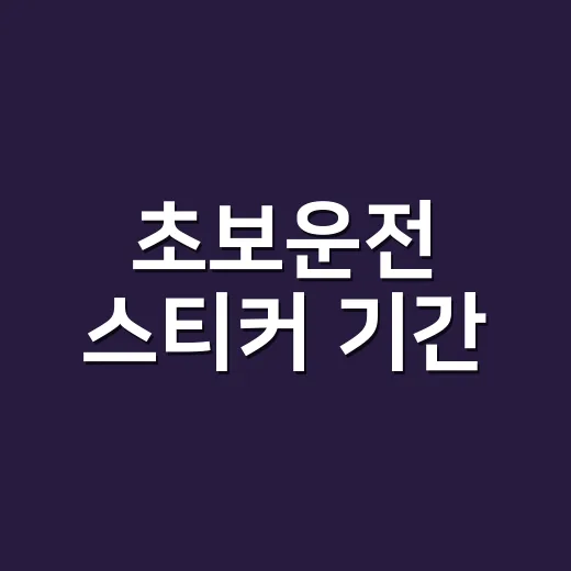 초보운전 스티커 기간, 언제 떼야 하는지 판단하는 방법 - 요약