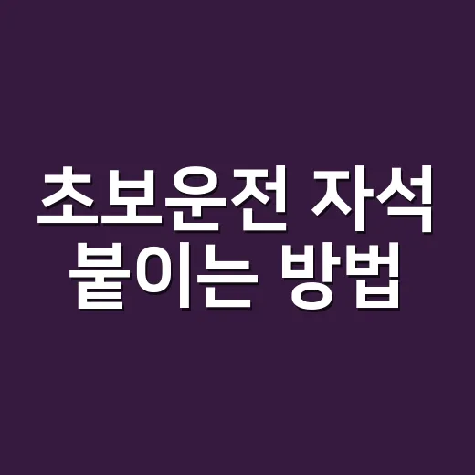 초보운전 자석 붙이는 방법, 과태료 걱정 없이 안전하게 보이려면 이렇게 - 요약