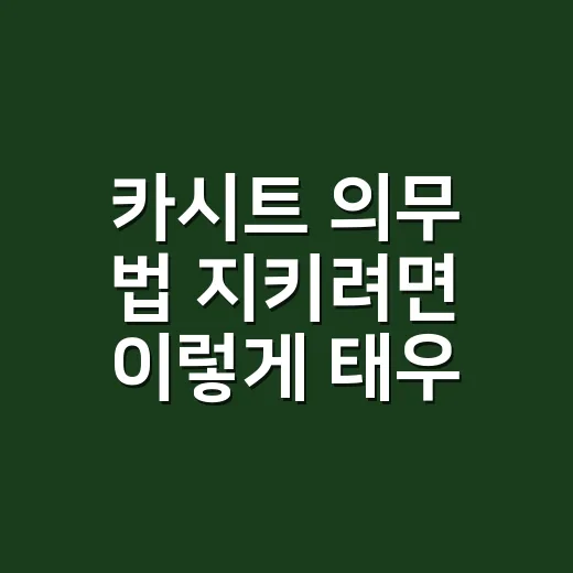 카시트 의무 법 지키려면 이렇게 태우면 됩니다 - 요약
