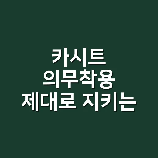 카시트 의무착용 제대로 지키는 방법, 나이 기준과 과태료까지 - 요약