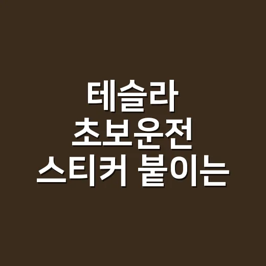 테슬라 초보운전 스티커 붙이는 방법, 센서와 번호판까지 이렇게 보세요 - 요약