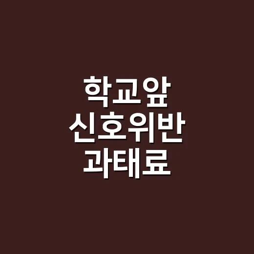 학교앞 신호위반 과태료 줄이려면 고지서에서 이렇게 확인하세요 - 요약