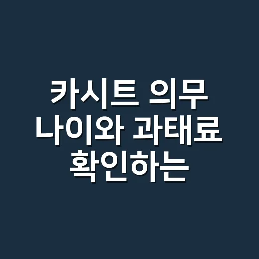 카시트 의무 나이와 과태료 확인하는 방법, 만 6세 전까지 이렇게 태우십시오 - 요약