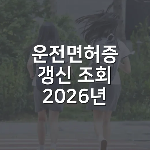 운전면허증 갱신 조회 2026년 변경 기준으로 확인하는 방법 - 요약