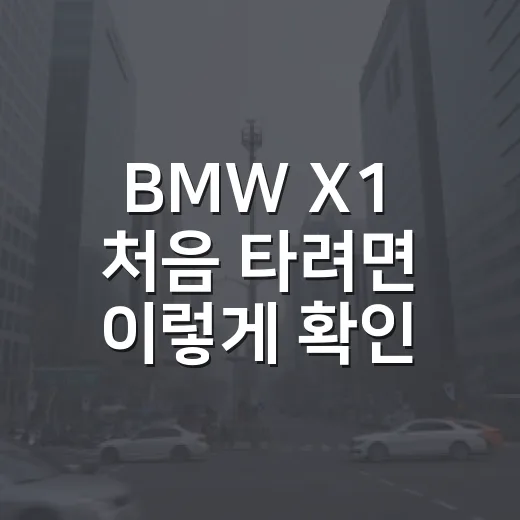 BMW X1 처음 타려면 이렇게 확인하세요 - 요약