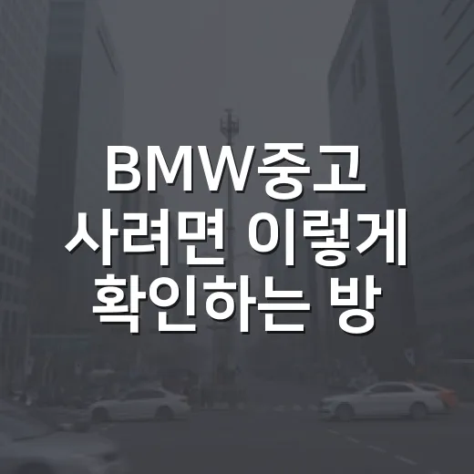 BMW중고 사려면 이렇게 확인하는 방법: 성능기록부부터 리콜·이전등록까지 - 요약