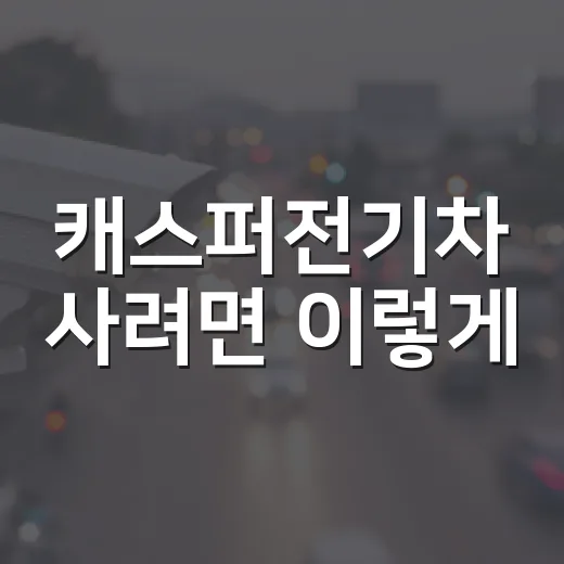캐스퍼전기차 사려면 이렇게, 보조금부터 충전구역 과태료까지 확인하는 방법 - 요약