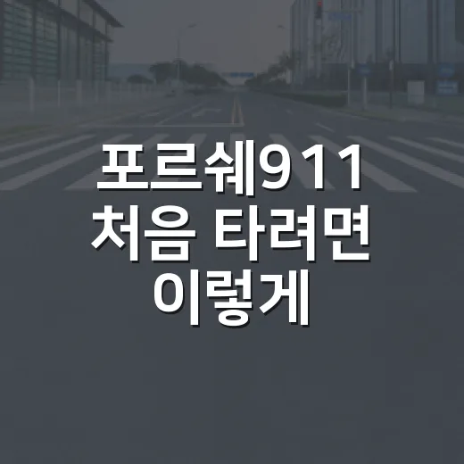 포르쉐911 처음 타려면 이렇게: 면허·보험·속도위반 챙기는 방법 - 요약
