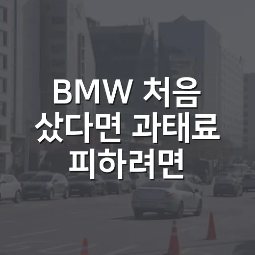 BMW 처음 샀다면 과태료 피하려면 이렇게 확인하세요 - 요약