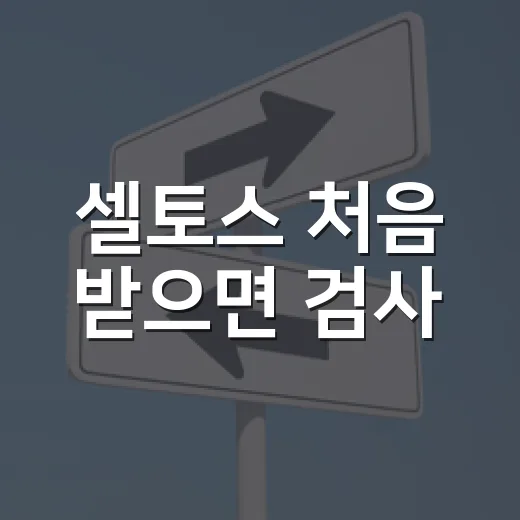 셀토스 처음 받으면 검사·보험·등록까지 놓치지 않는 방법 - 요약