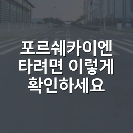 포르쉐카이엔 타려면 이렇게 확인하세요: 검사·보험·과속 기준 - 요약