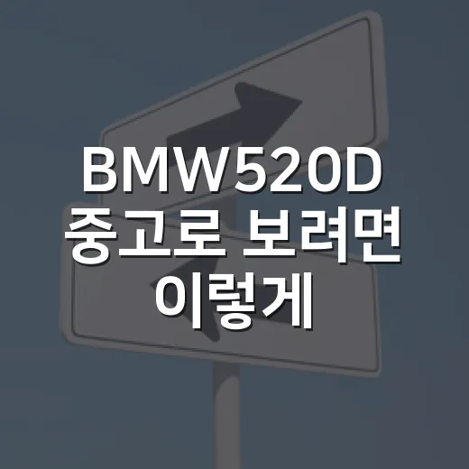 BMW520D 중고로 보려면 이렇게 확인하는 방법 - 요약