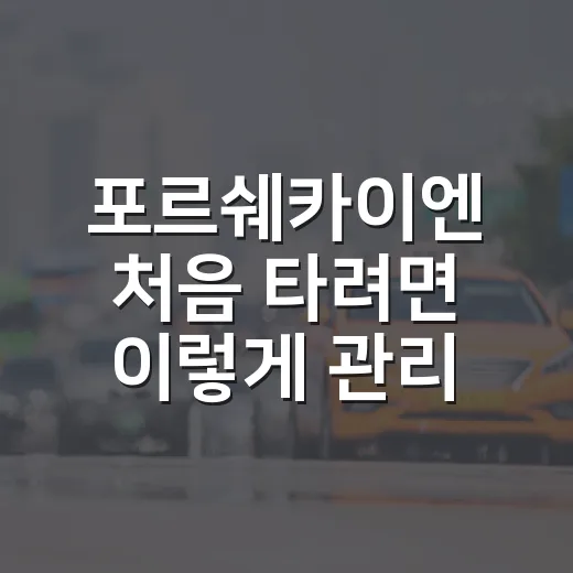 포르쉐카이엔 처음 타려면 이렇게 관리하는 방법 - 요약