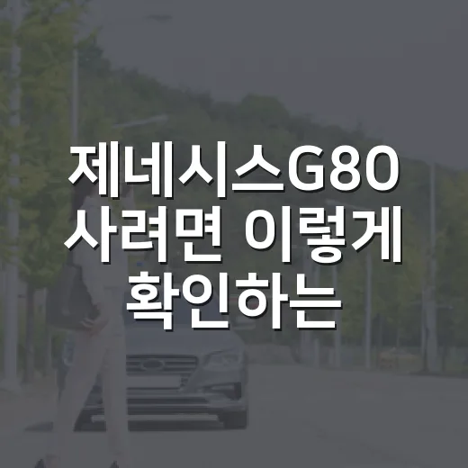 제네시스G80 사려면 이렇게 확인하는 방법: 세금·검사·운전 습관까지 - 요약