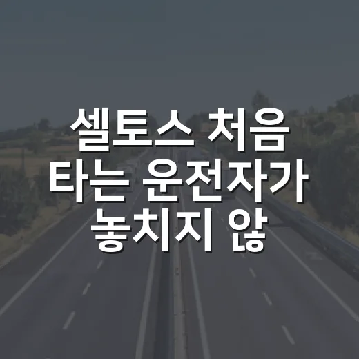 셀토스 처음 타는 운전자가 놓치지 않는 방법 - 요약