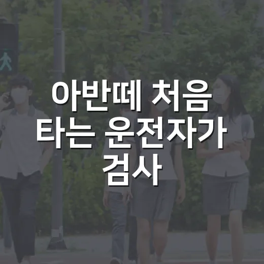 아반떼 처음 타는 운전자가 검사·과태료·안전 습관 챙기는 방법 - 요약