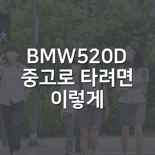 BMW520D 중고로 타려면 이렇게 확인하는 방법 - 요약