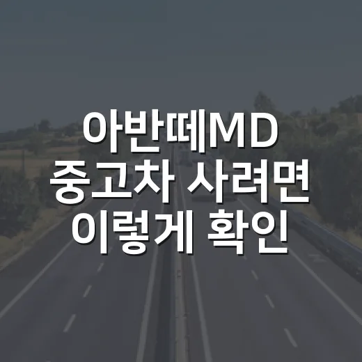 아반떼MD 중고차 사려면 이렇게 확인하는 방법 - 요약