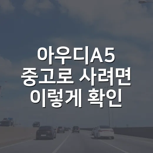아우디A5 중고로 사려면 이렇게 확인하세요: 검사·등록·과태료 기준 - 요약