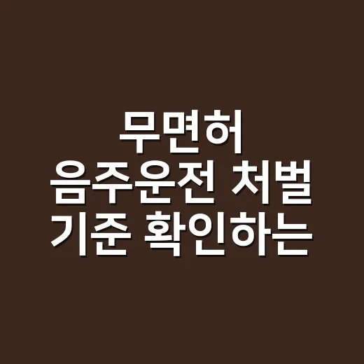 무면허 음주운전 처벌 기준 확인하는 방법 - 요약