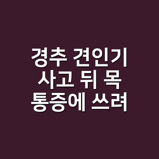 경추 견인기 사고 뒤 목 통증에 쓰려면 이렇게 - 요약