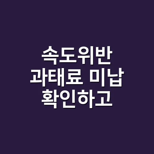 속도위반 과태료 미납 확인하고 납부하는 방법 - 요약