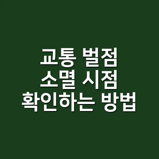 교통 벌점 소멸 시점 확인하는 방법 - 요약