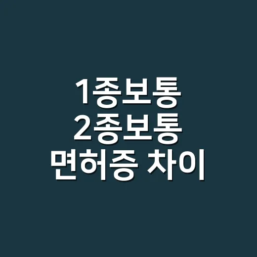 1종보통 2종보통 면허증 차이 확인하는 방법 - 요약