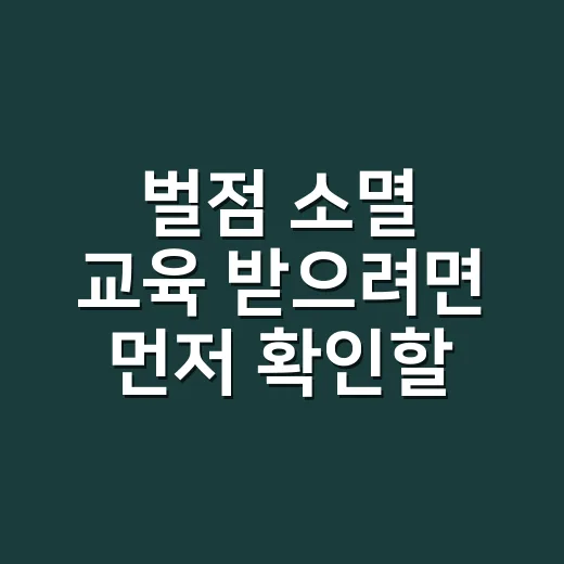 벌점 소멸 교육 받으려면 먼저 확인할 것 - 요약