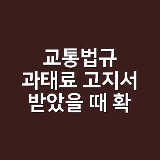 교통법규 과태료 고지서 받았을 때 확인하는 방법 - 요약