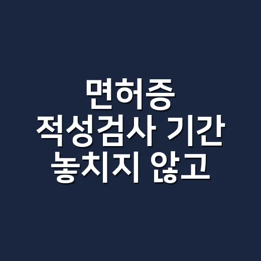 면허증 적성검사 기간 놓치지 않고 확인하는 방법 - 요약