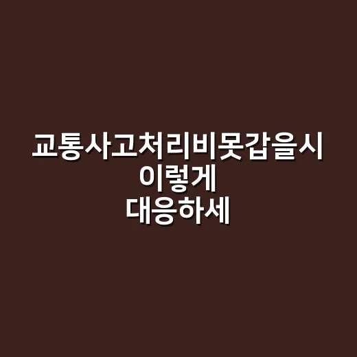 교통사고처리비못갑을시 이렇게 대응하세요 - 요약