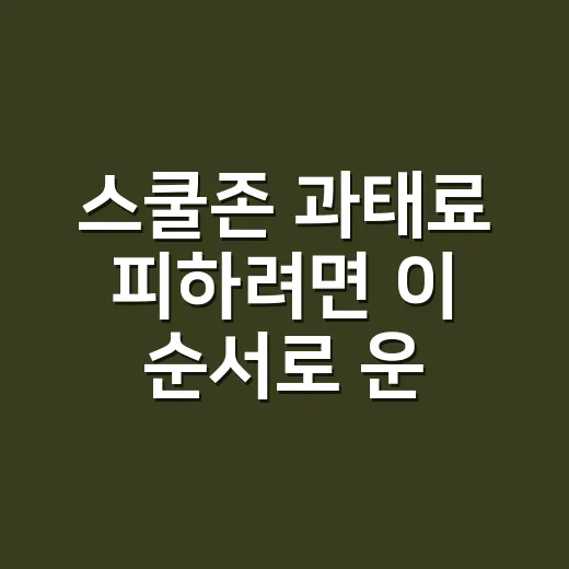 스쿨존 과태료 피하려면 이 순서로 운전하세요 - 요약