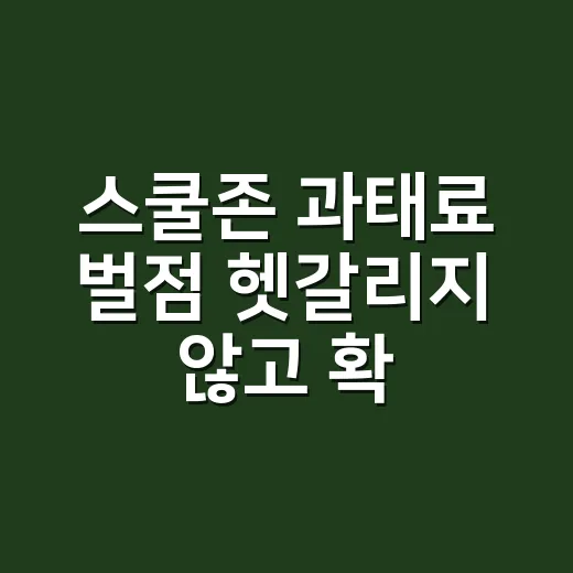 스쿨존 과태료 벌점 헷갈리지 않고 확인하는 방법 - 요약