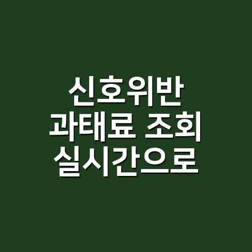 신호위반 과태료 조회 실시간으로 확인하는 방법 - 요약