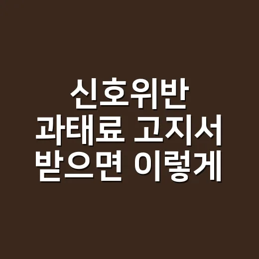 신호위반 과태료 고지서 받으면 이렇게 확인하세요 - 요약