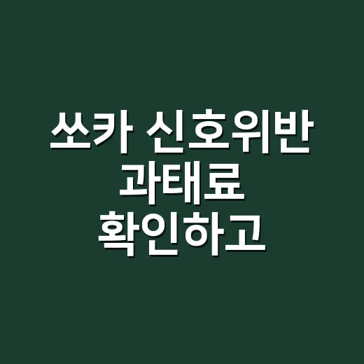 쏘카 신호위반 과태료 확인하고 처리하는 방법 - 요약