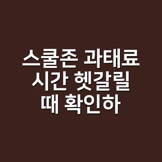 스쿨존 과태료 시간 헷갈릴 때 확인하는 방법 - 요약