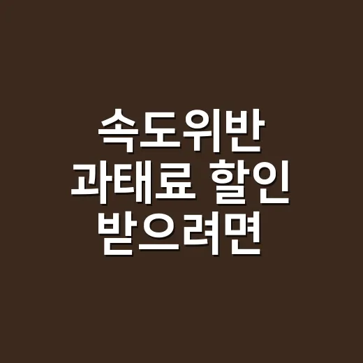 속도위반 과태료 할인 받으려면 고지서부터 확인하는 방법 - 요약