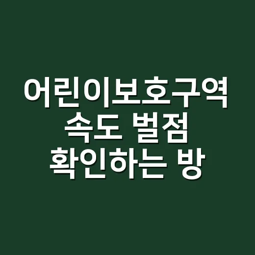어린이보호구역 속도 벌점 확인하는 방법 - 요약
